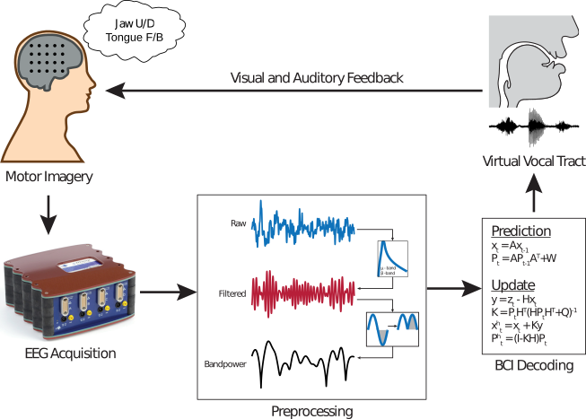 General schematic of BCI decoding pipeline from data acquisition, to preprocessing, decoding, output and feedback to users.