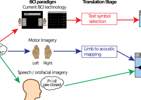 BCI's can be used to restore / replace communication for individuals who are paralyzed.  Each technique requires a different type of neural control and interface with communication software ranging from selecting letters, numbers, and phrases to directly producing vocalized speech sounds using an artificial vocal tract.
